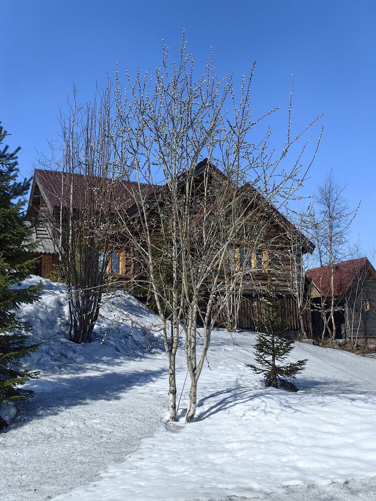 Photograph by Ольга Попова