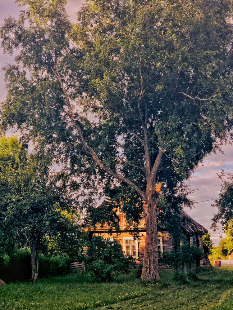 Photograph by Светлана Кустова