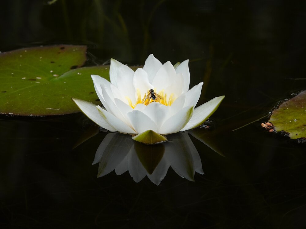 Photograph by Zakharov Matvey