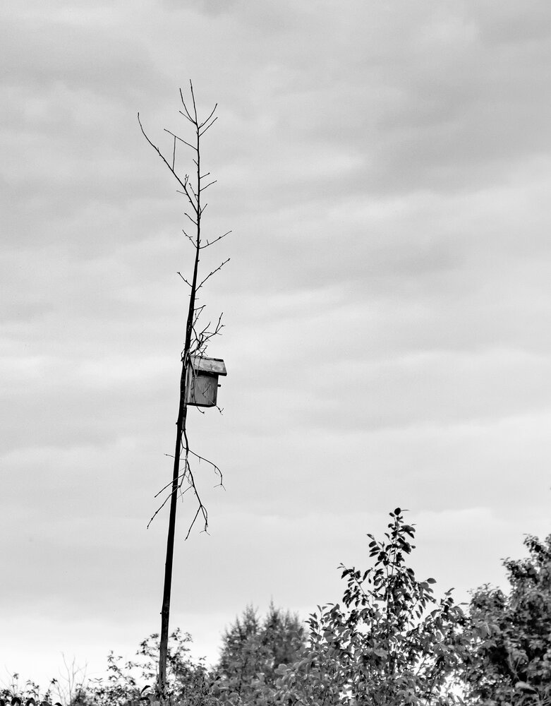 Photograph by Николай Нестеренко