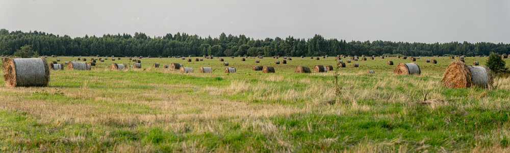 Photograph by Николай Нестеренко