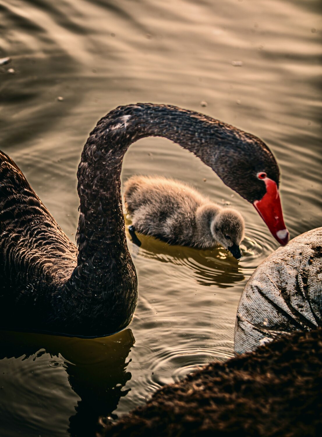 Mother care