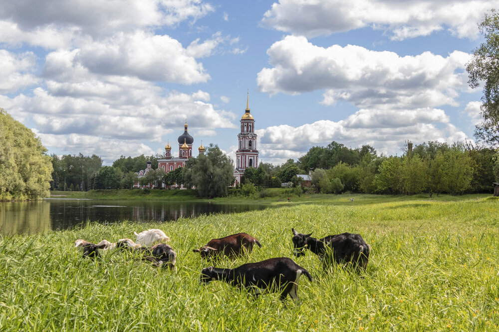 Photograph by Валентина Куренкова
