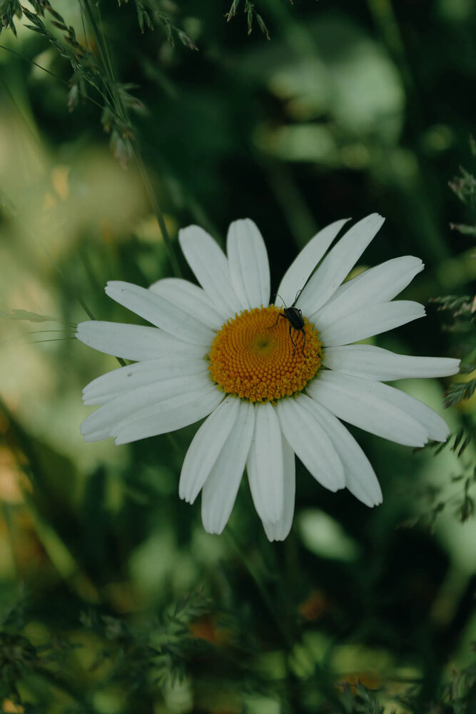 Photograph by Sonya Zhemchuzhnikova