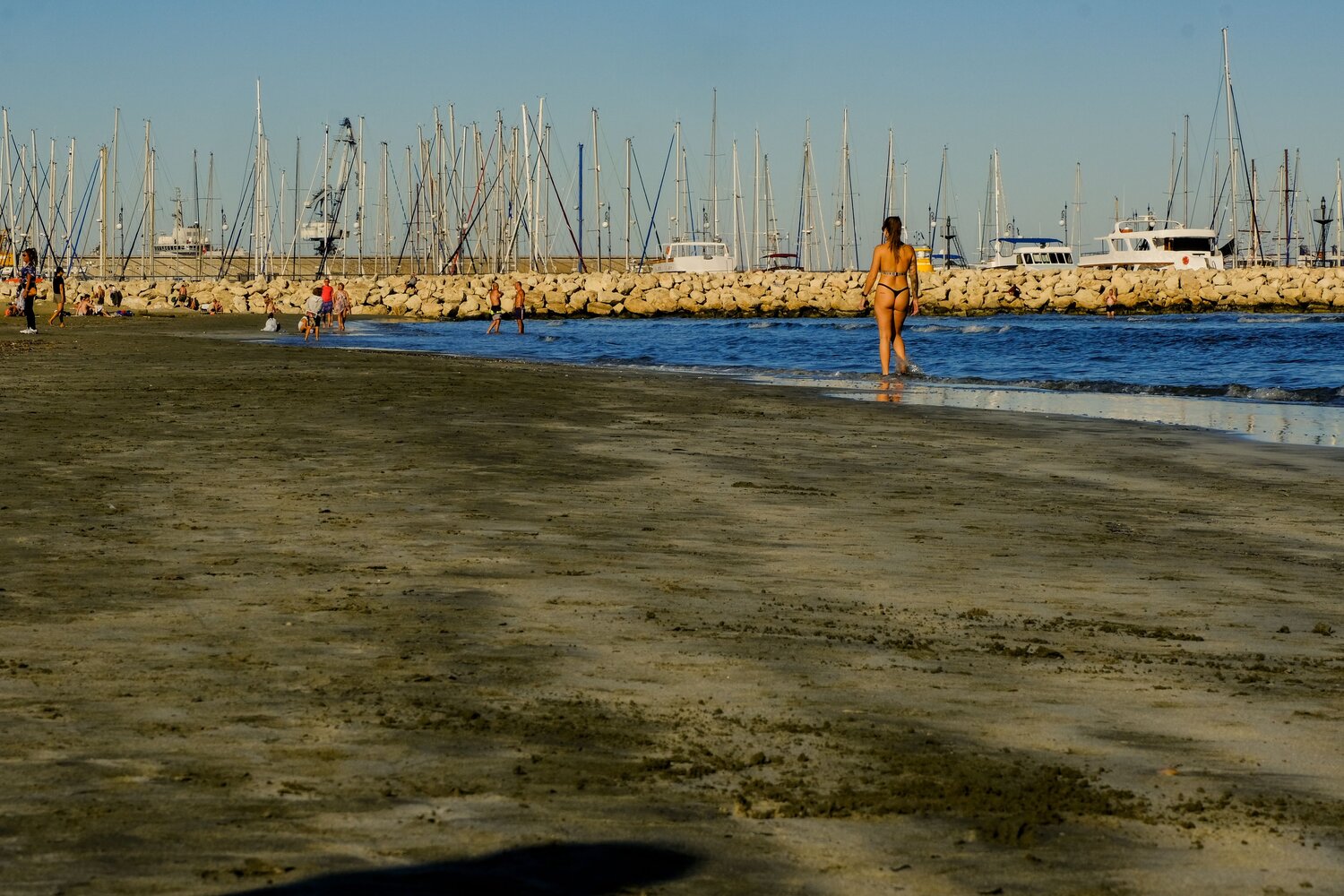 Photo #13871457