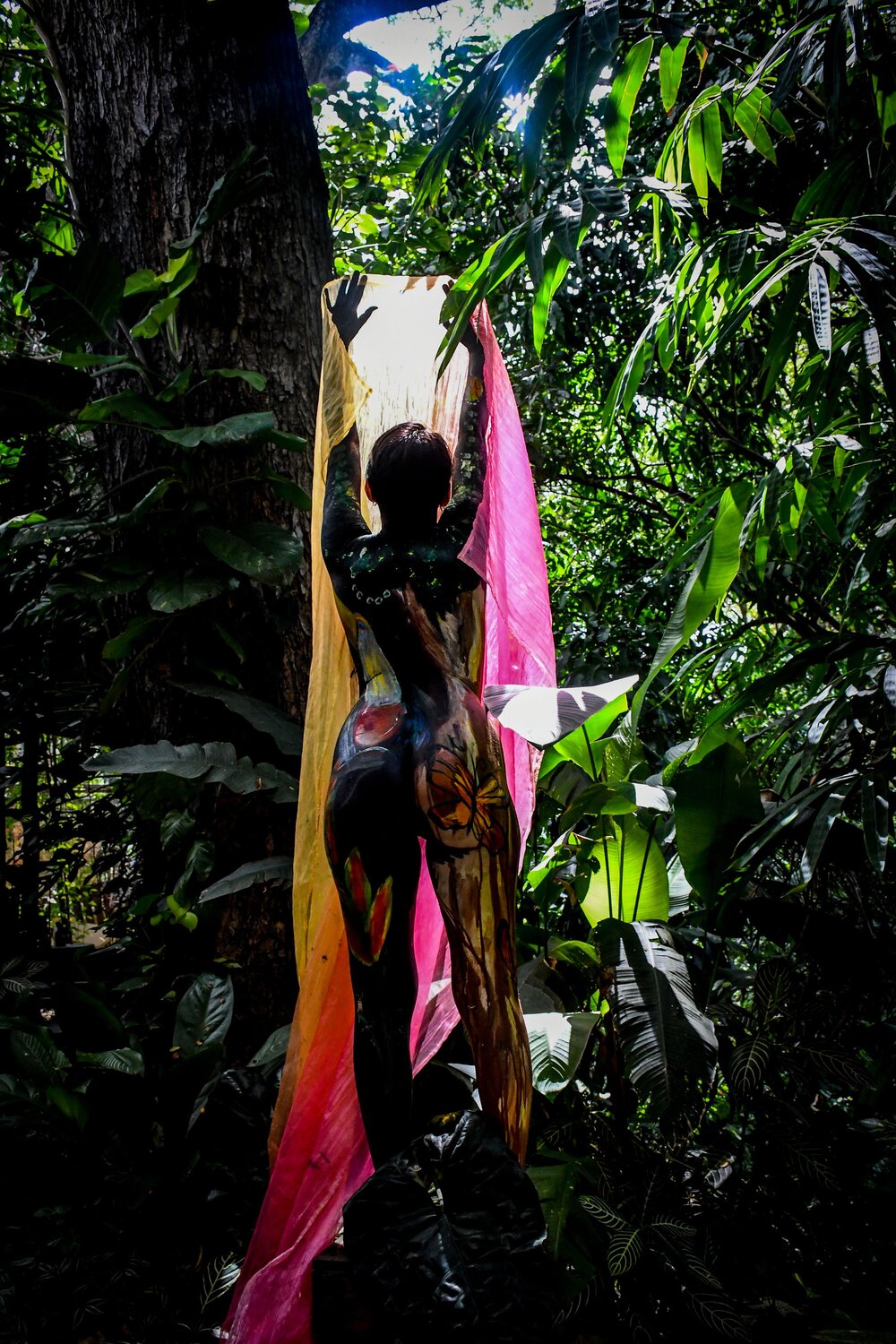 Photo #13871500