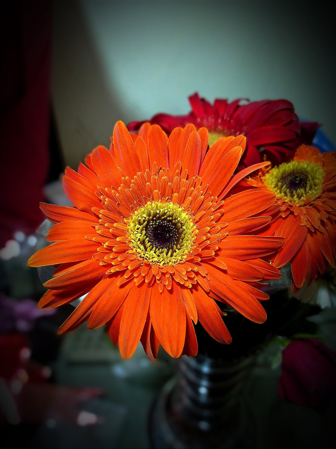 Photo #13871612