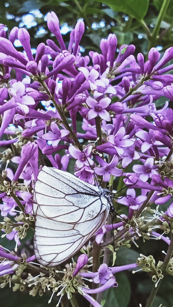 Photograph by Надежда Рулькова