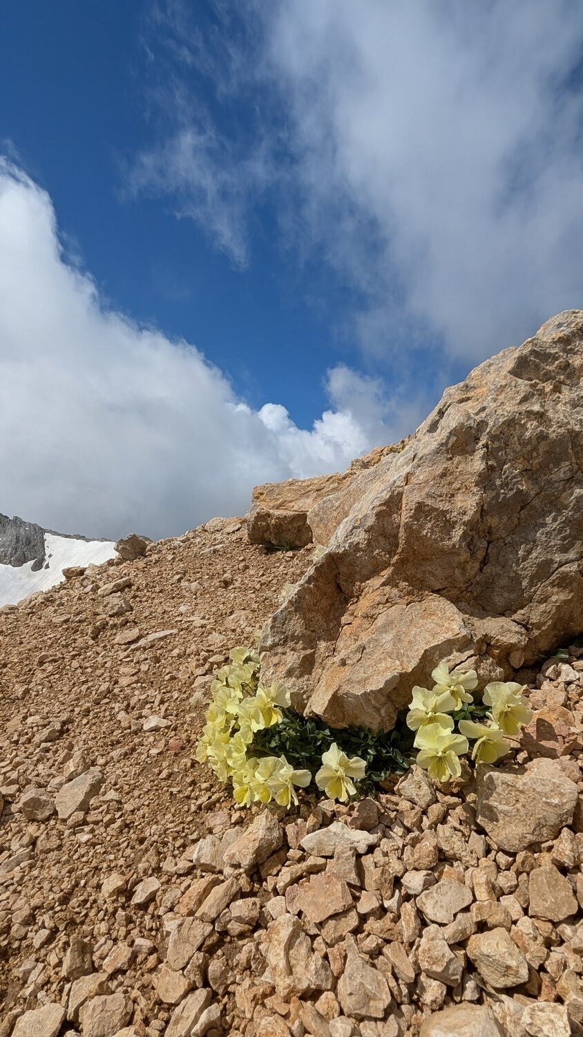 Photo #13871667