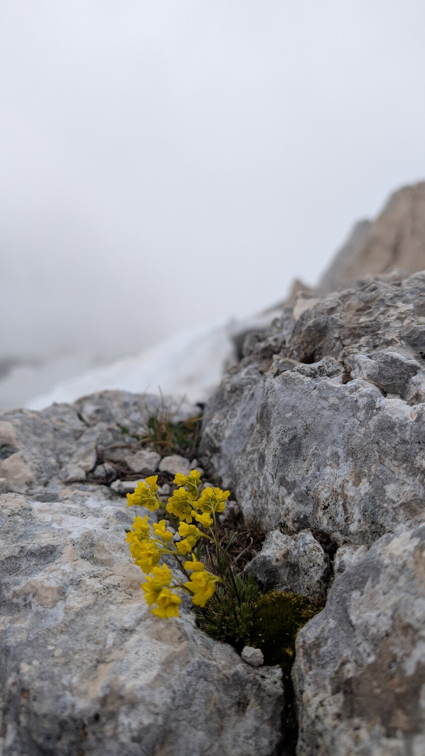 Photo #13871669