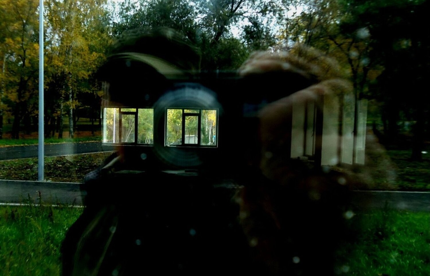 self-portrait