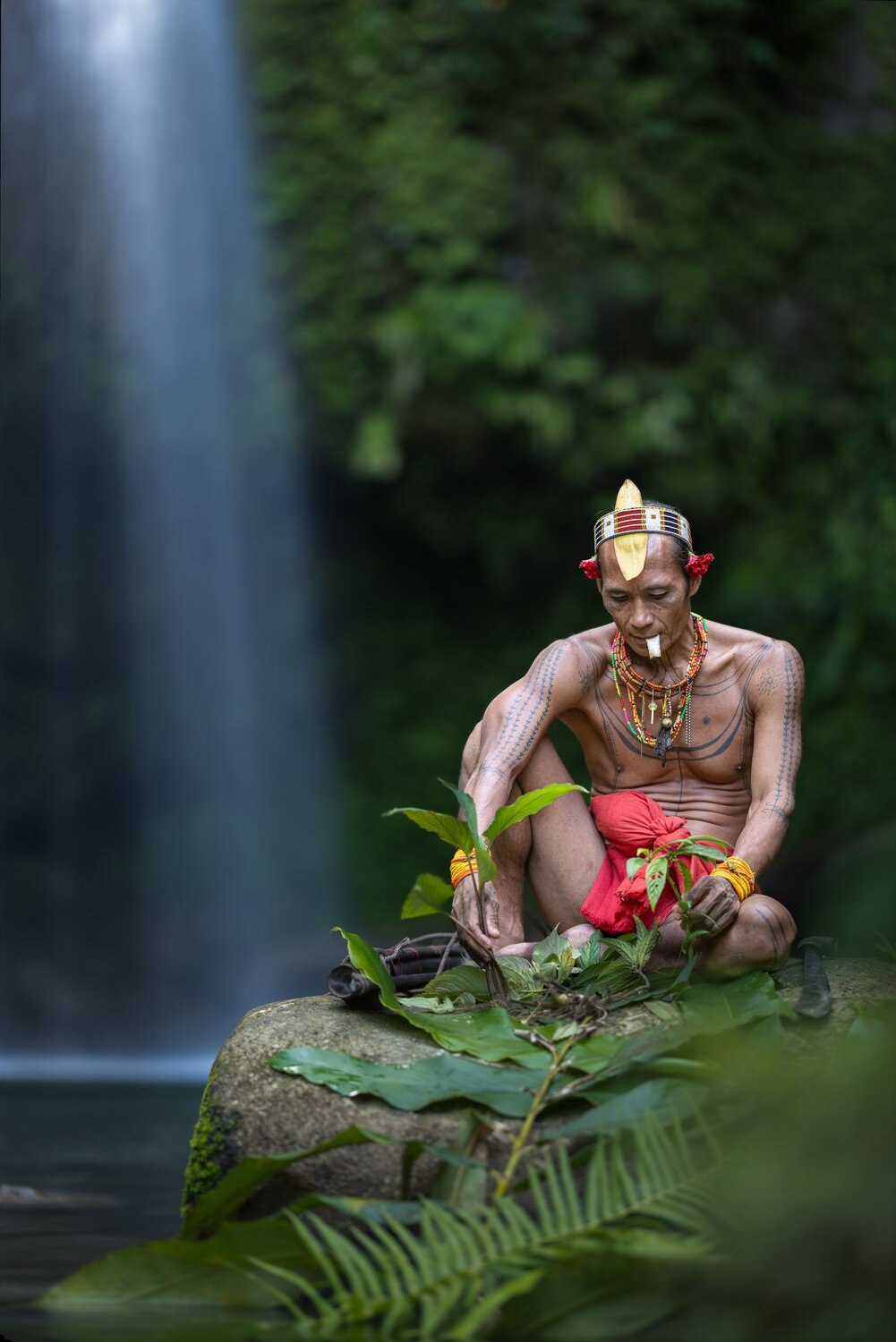 The Forest Healer