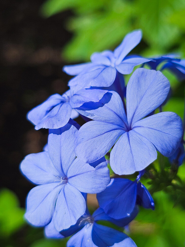 Фотография автора Judel Obas