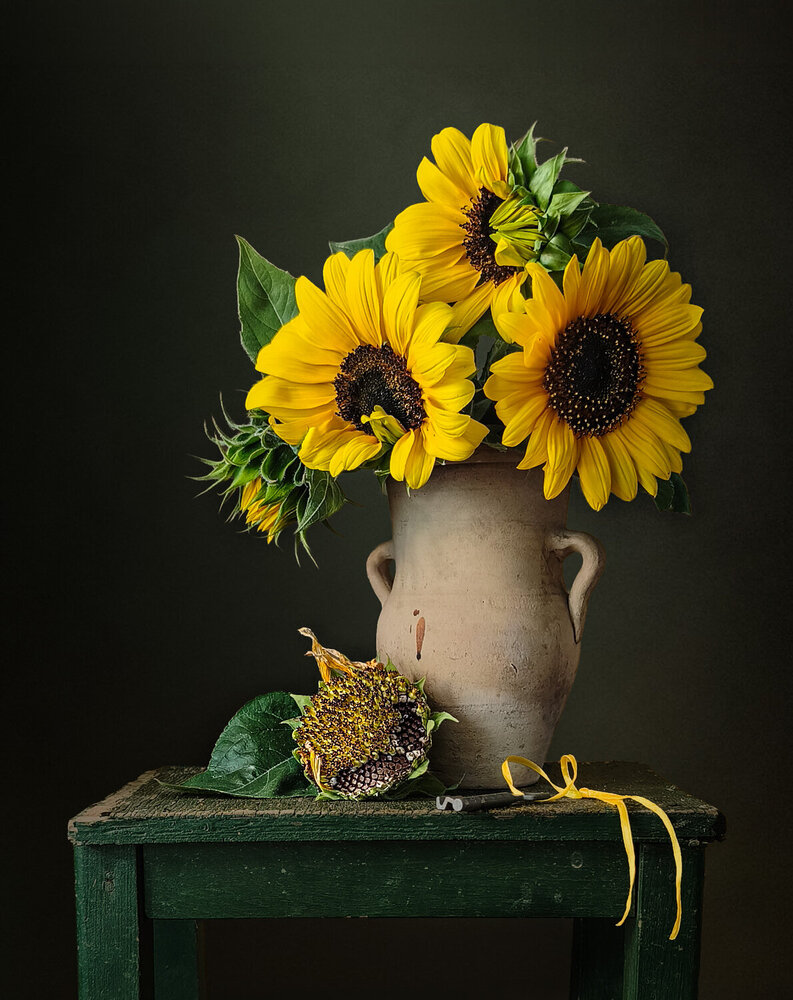 Photograph by Natalia Beidel
