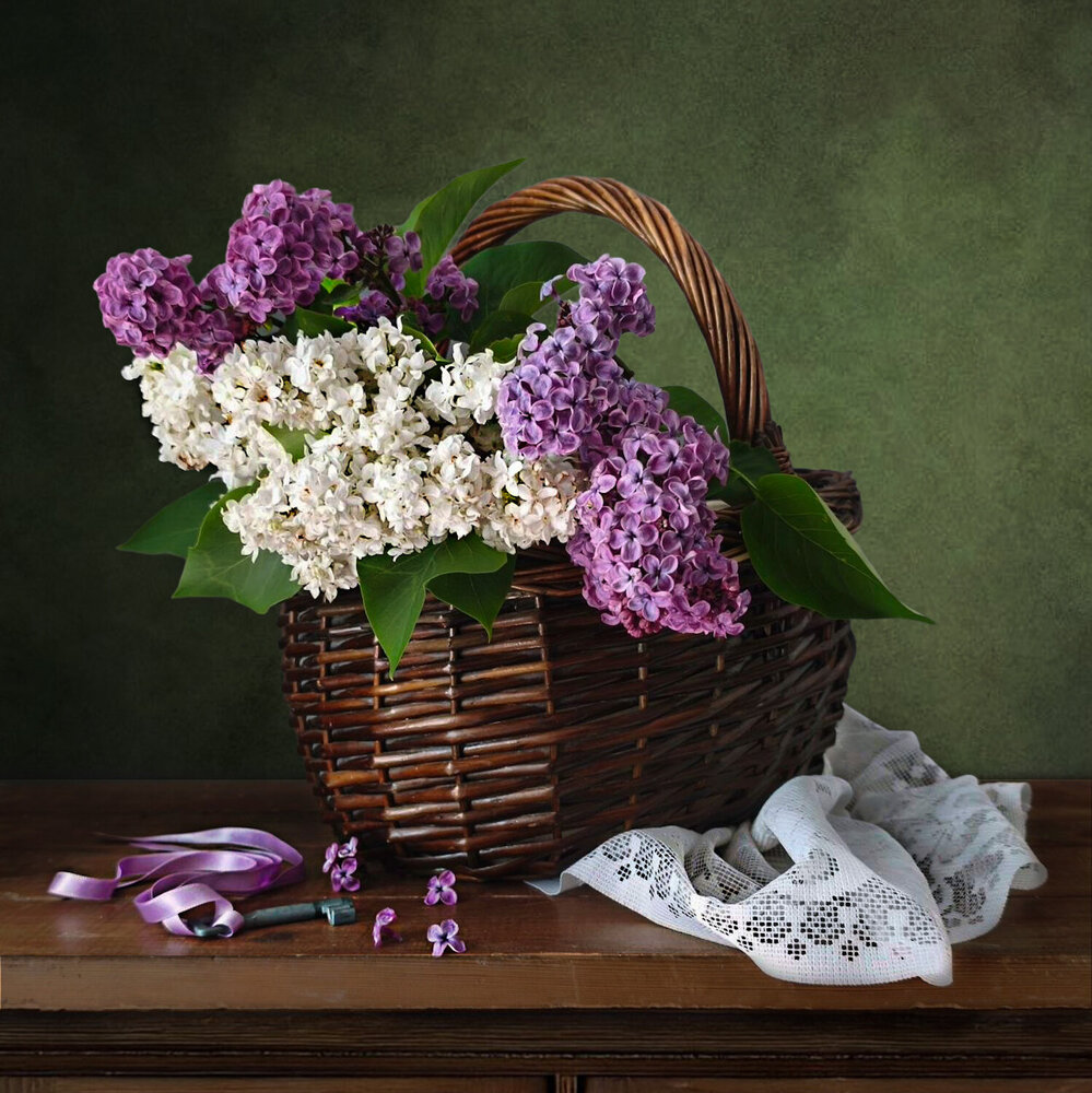 Photograph by Natalia Beidel