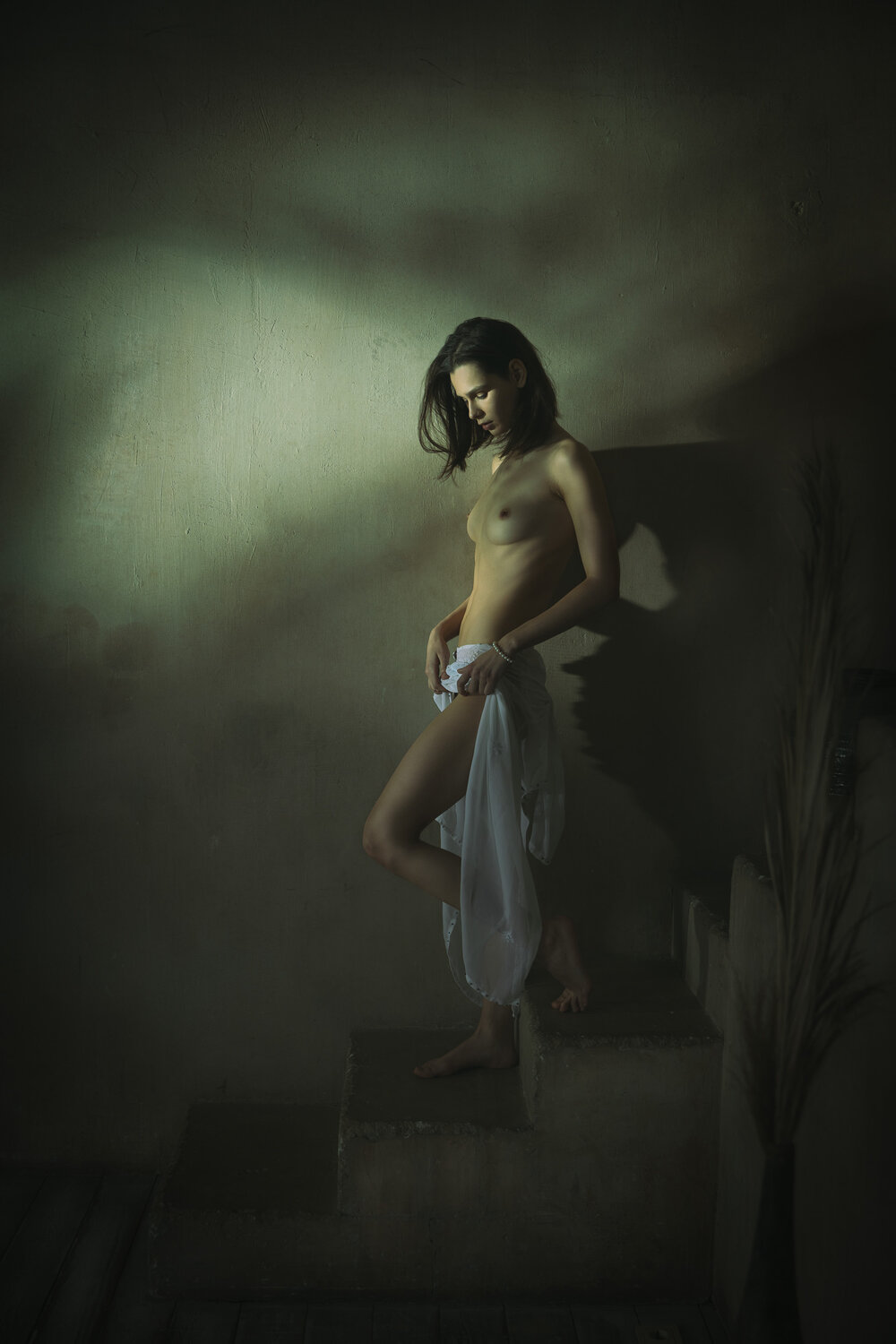 Photo #13871835