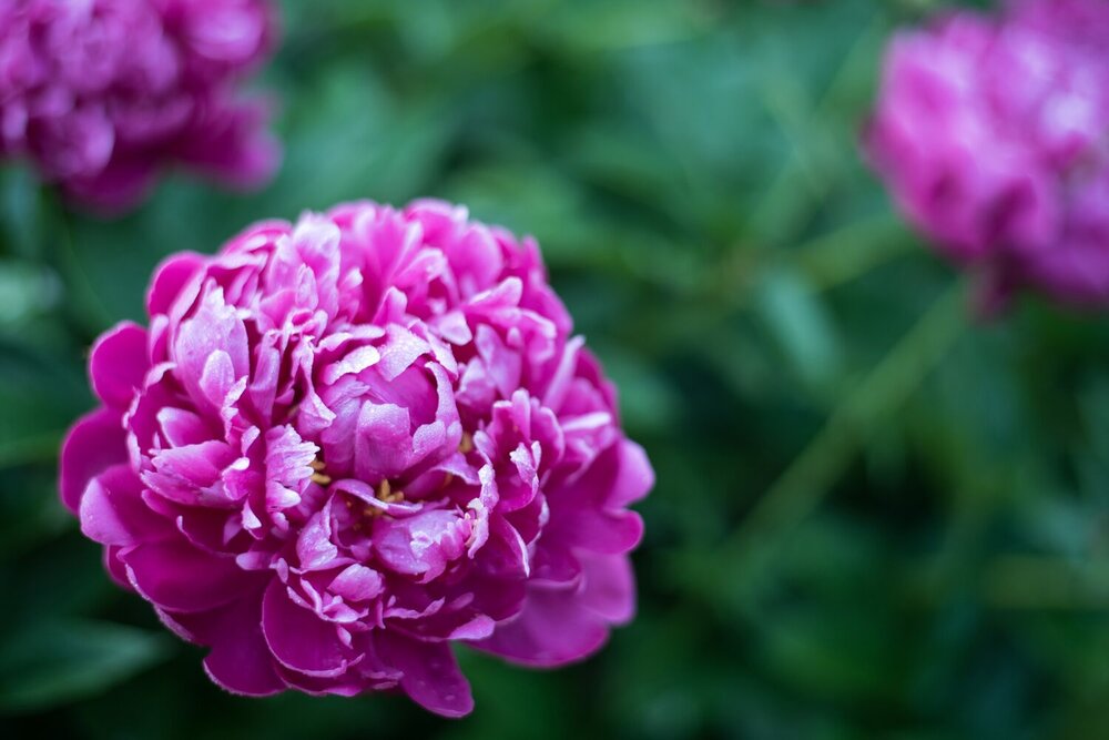 Photograph by Марина Тихонова