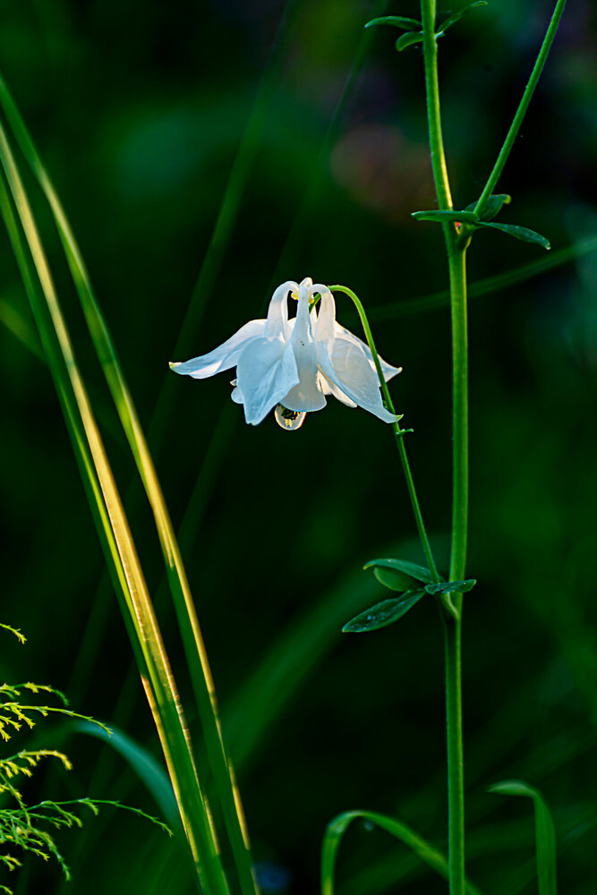 Photograph by Ольга Егунова