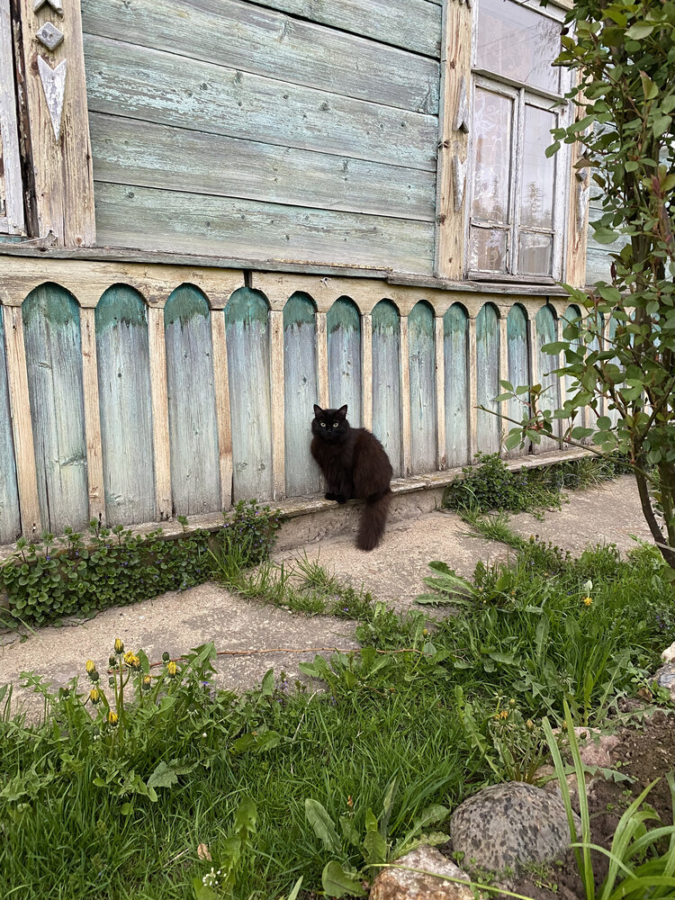 Фотография автора Мария Шарова
