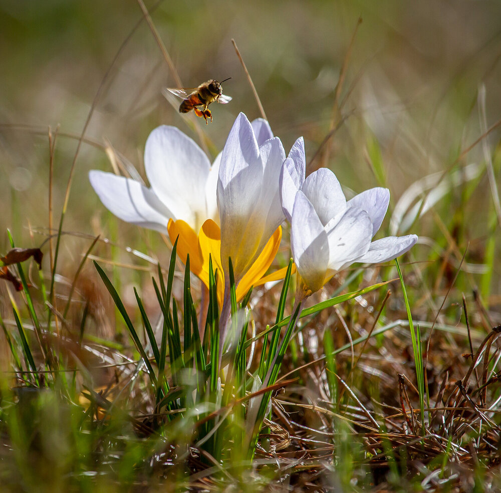 Photograph by Дмитрий Черепков