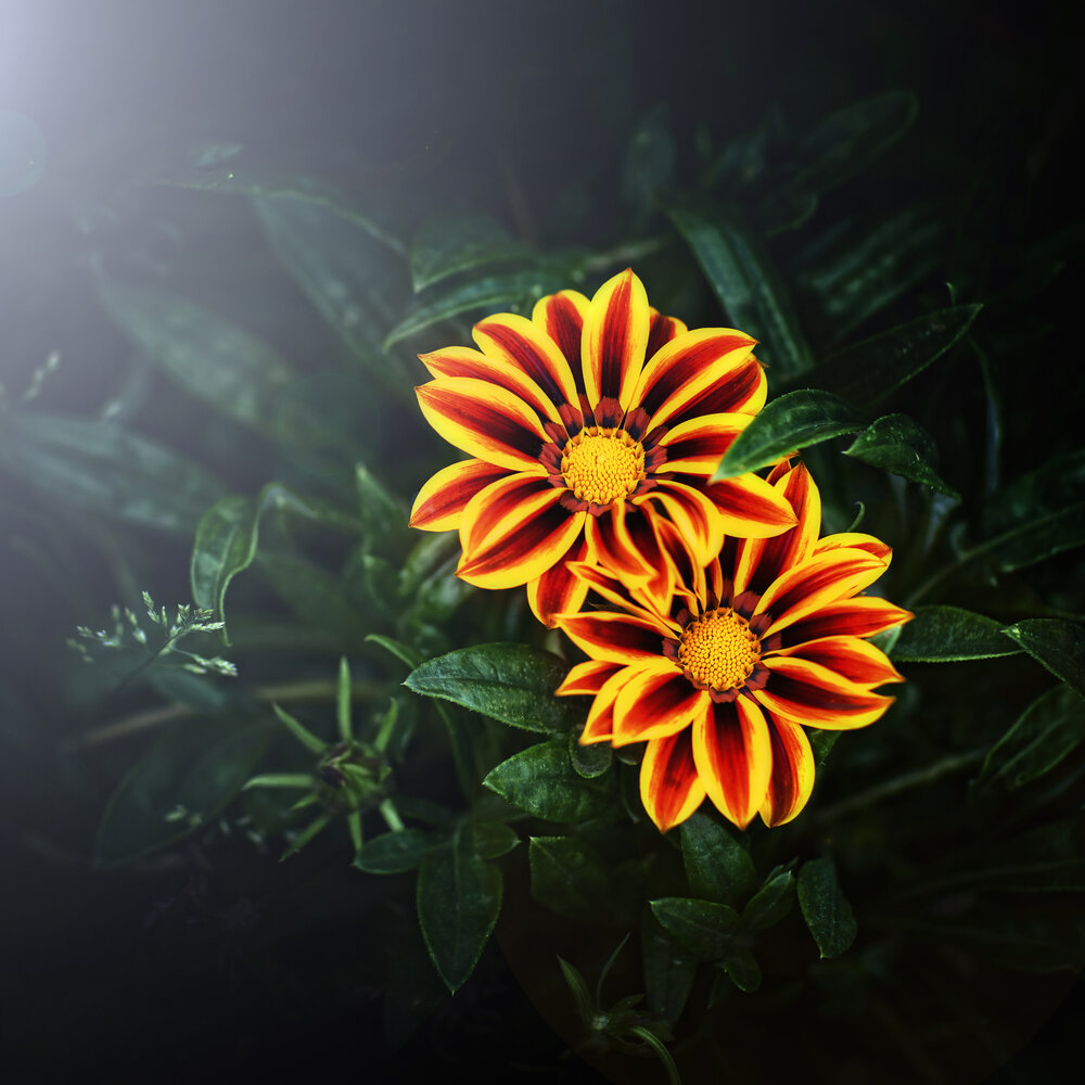 Photograph by Гуляев Алексей