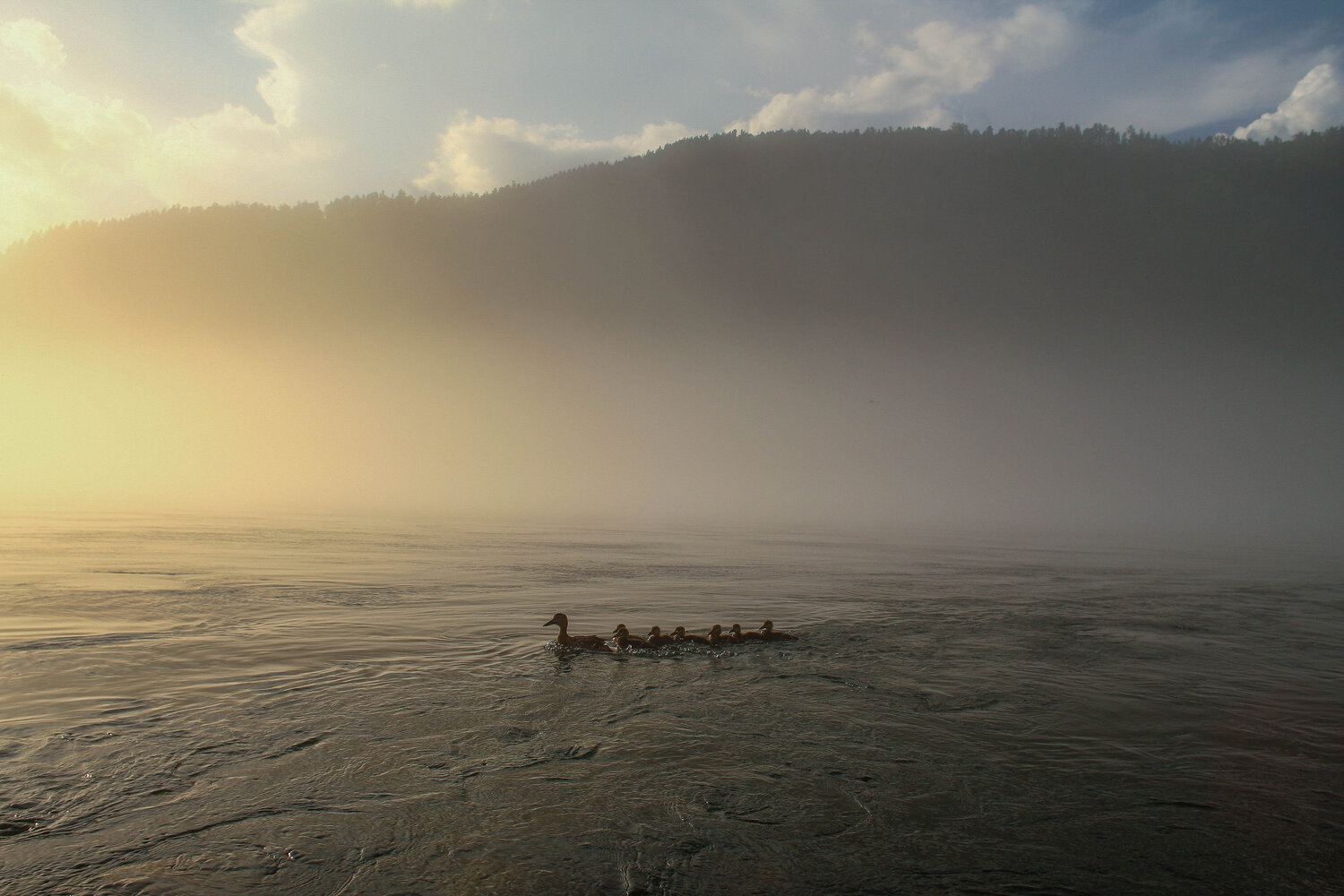 Photo #13872007