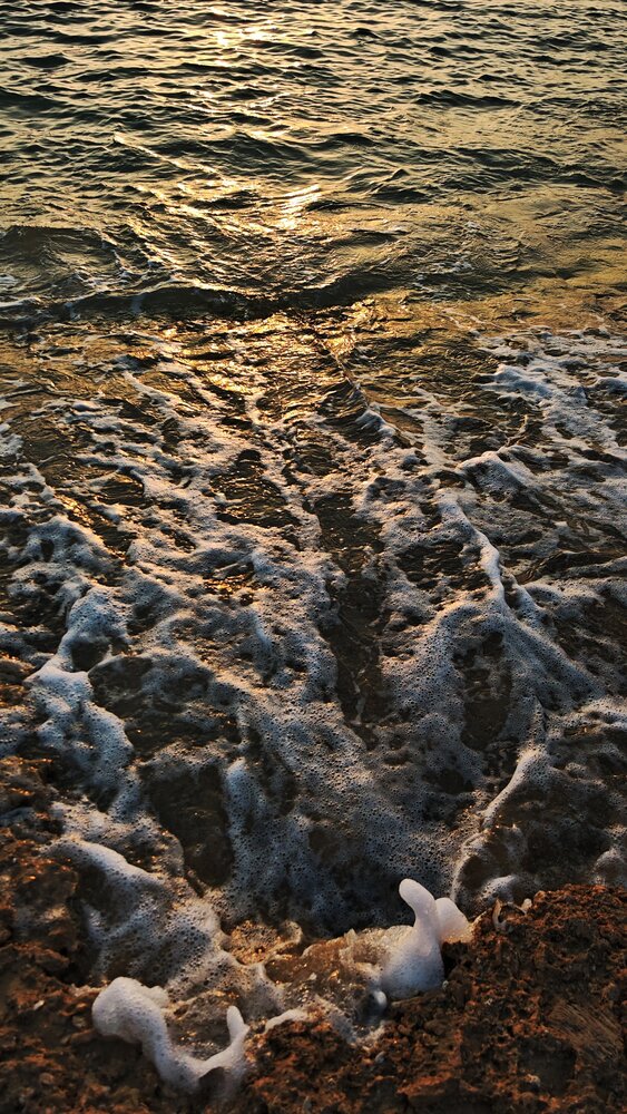 Photograph by Shorouq Mahdi