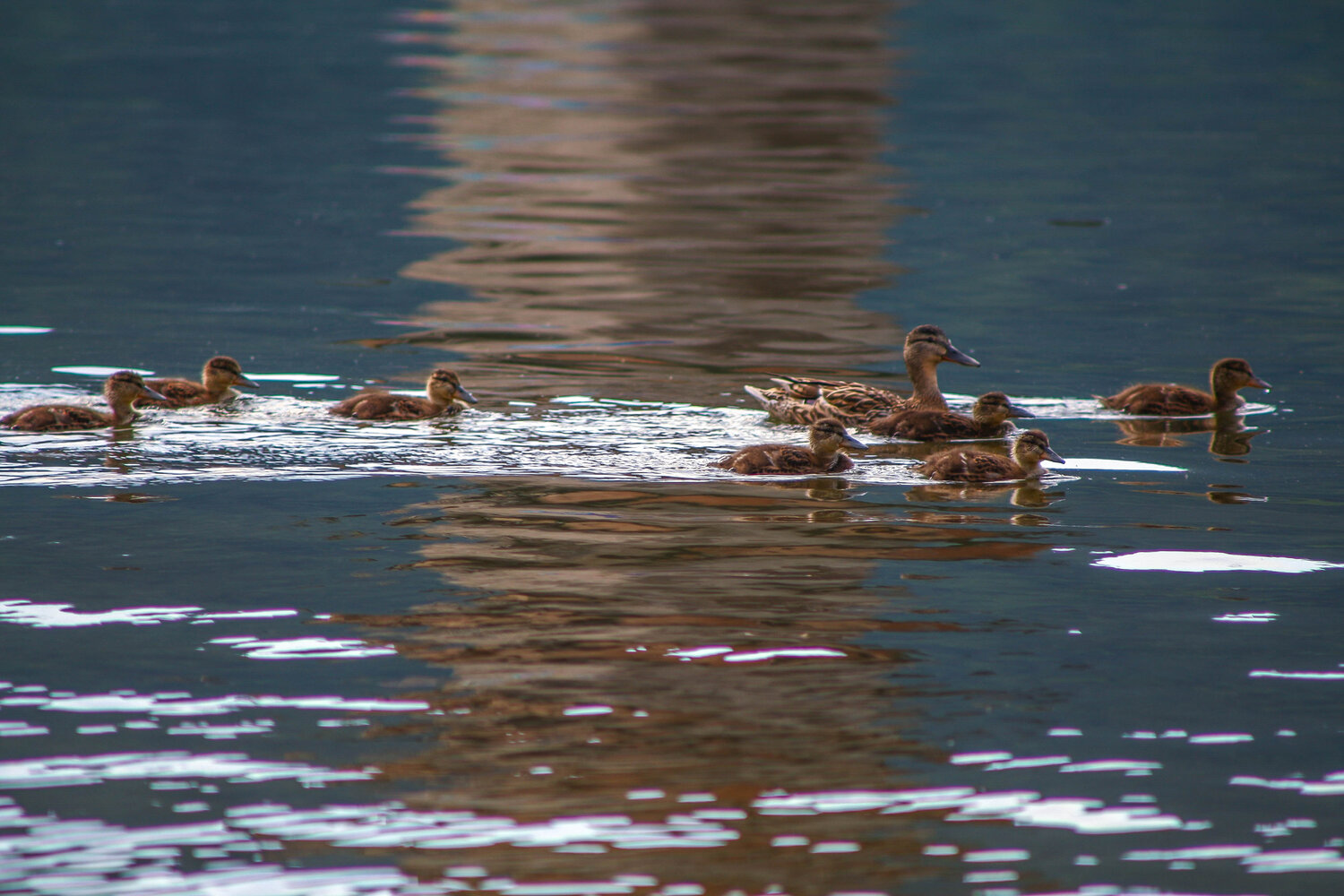 Photo #13872065