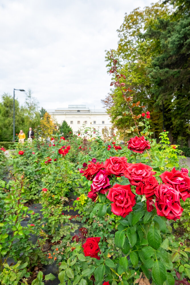 Photograph by Владимир Хохлов