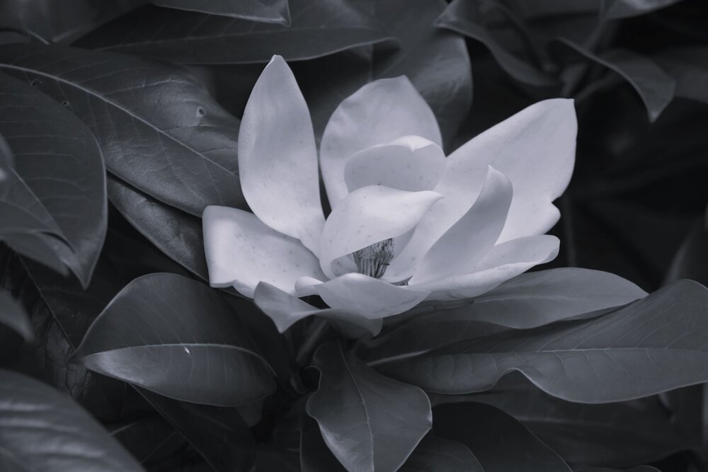 Photograph by Виктория Зеленкова