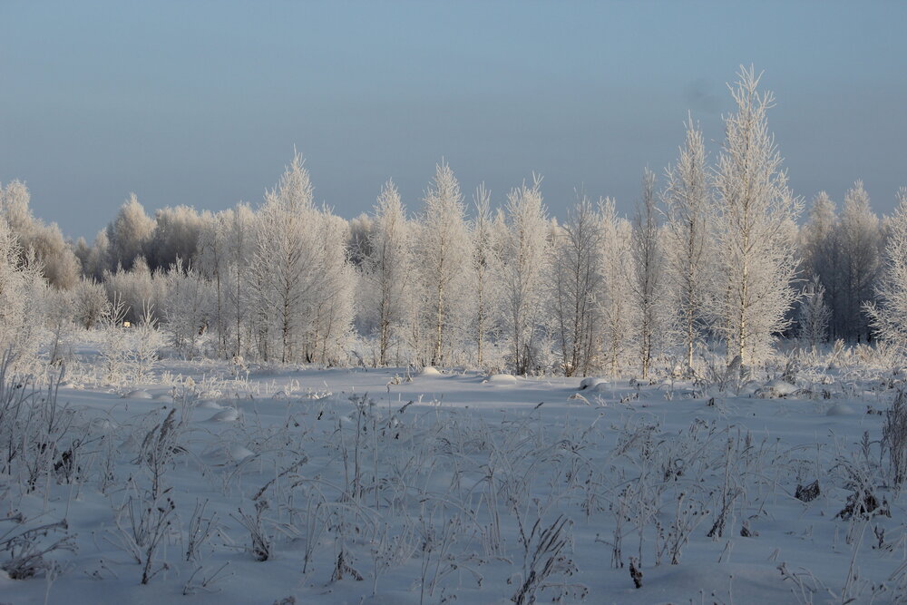 Photograph by Галина Мазур