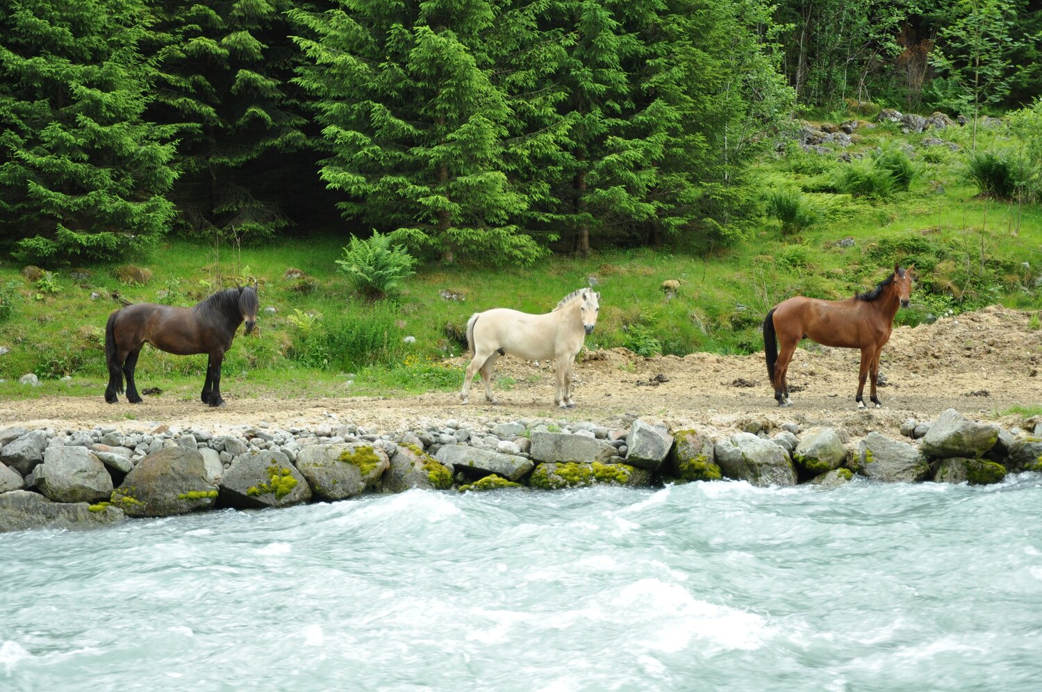 Photo #13872126