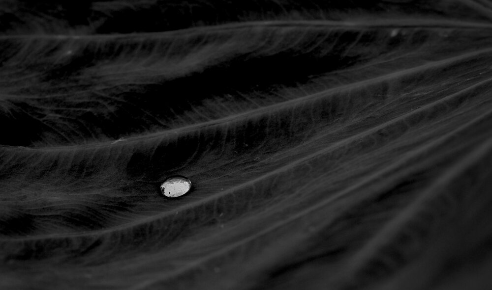 Equilibrium
