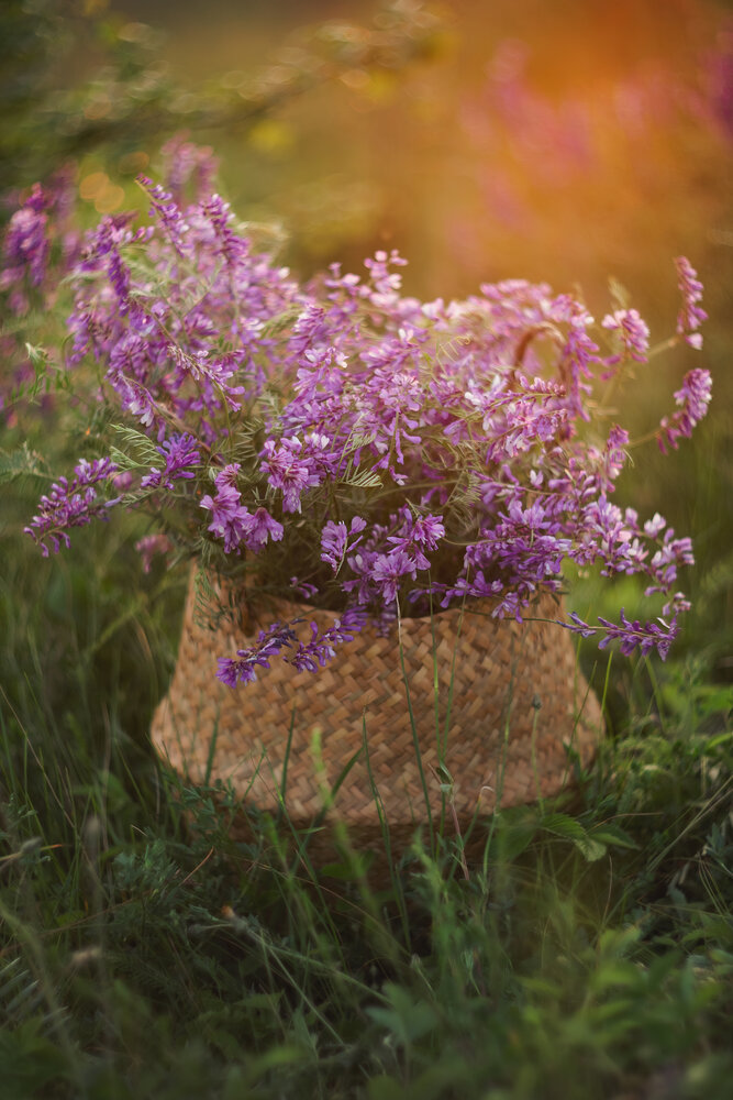 Photograph by Елена Косинова