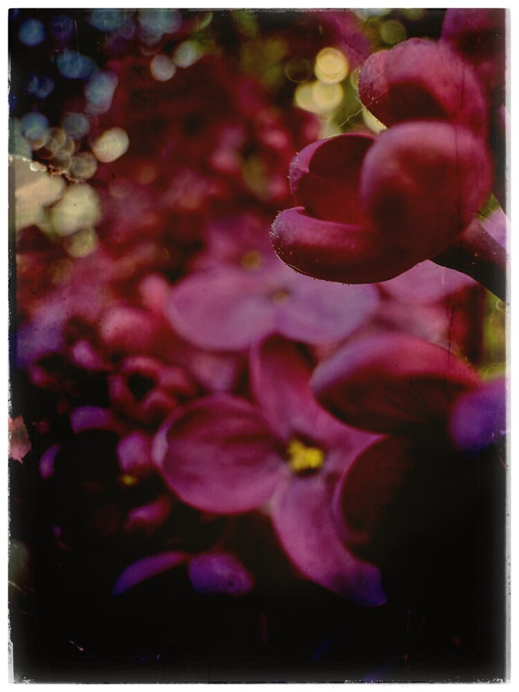 Photograph by Татьяна Цапкова