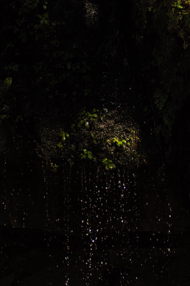 Photograph by Alexis Pienaar