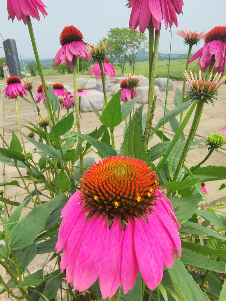 Photo #13872250