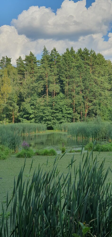Photograph by Evgenia Madaeva