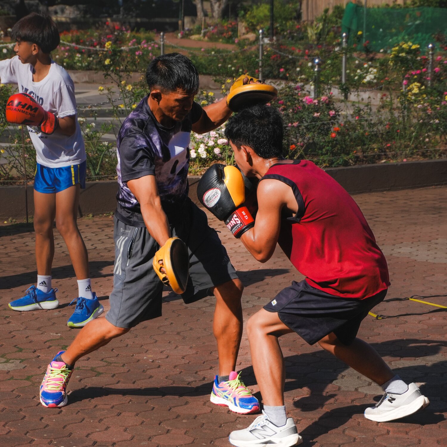Photo #13872265