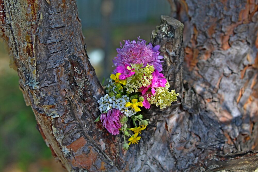 Photograph by Юлия Иванова