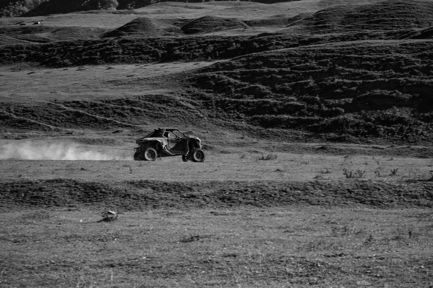 Photo #13872313