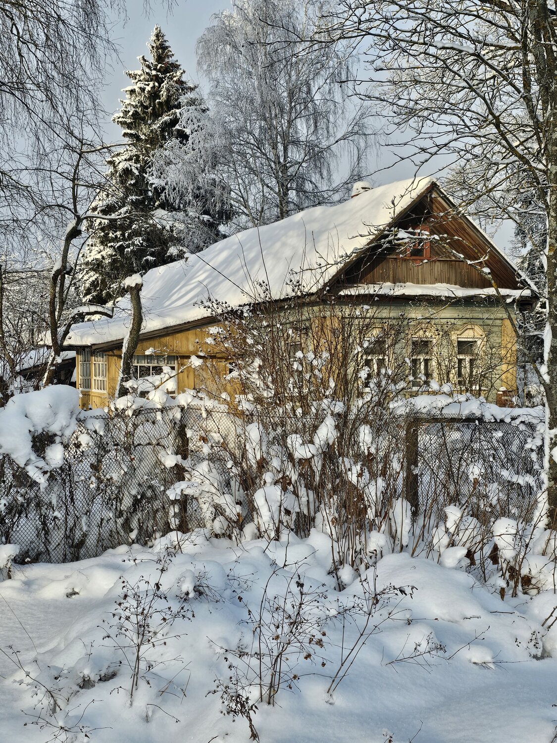 Фотография #13872353