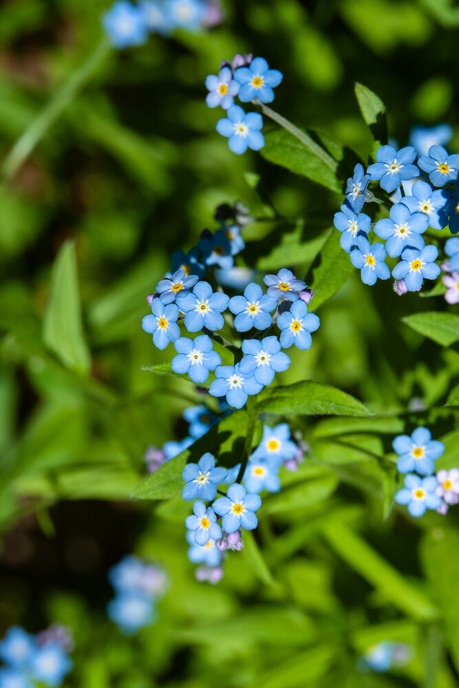 Photograph by Наталия Сметнёва