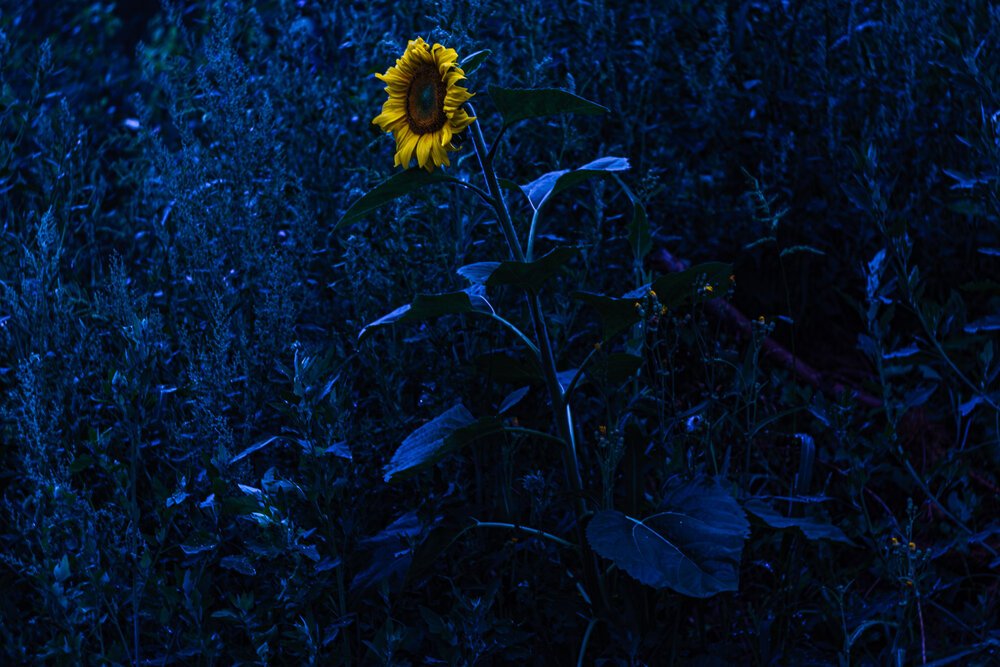 Photograph by Елена Андреева