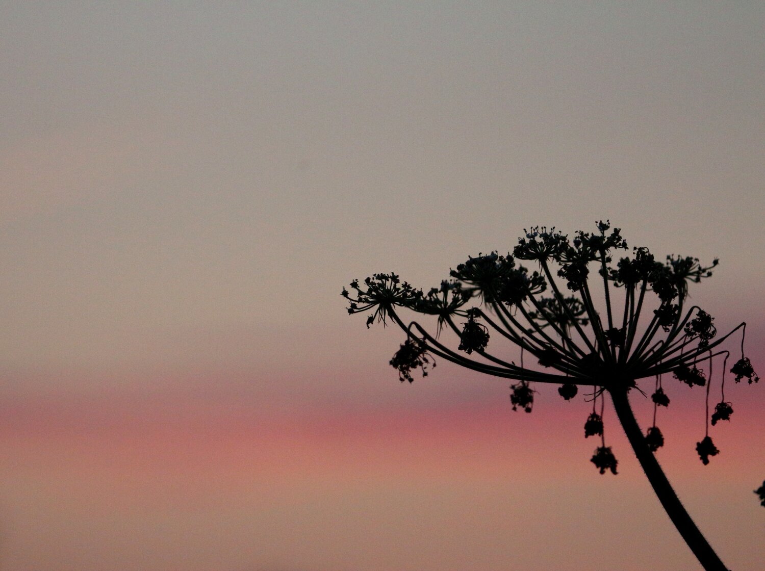 Photo #13872481