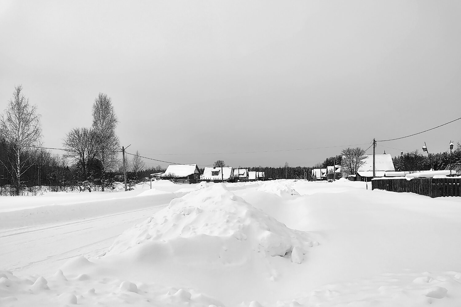 Photo #13872490