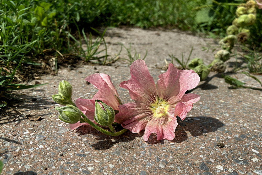 Photograph by Анна Скряжевская