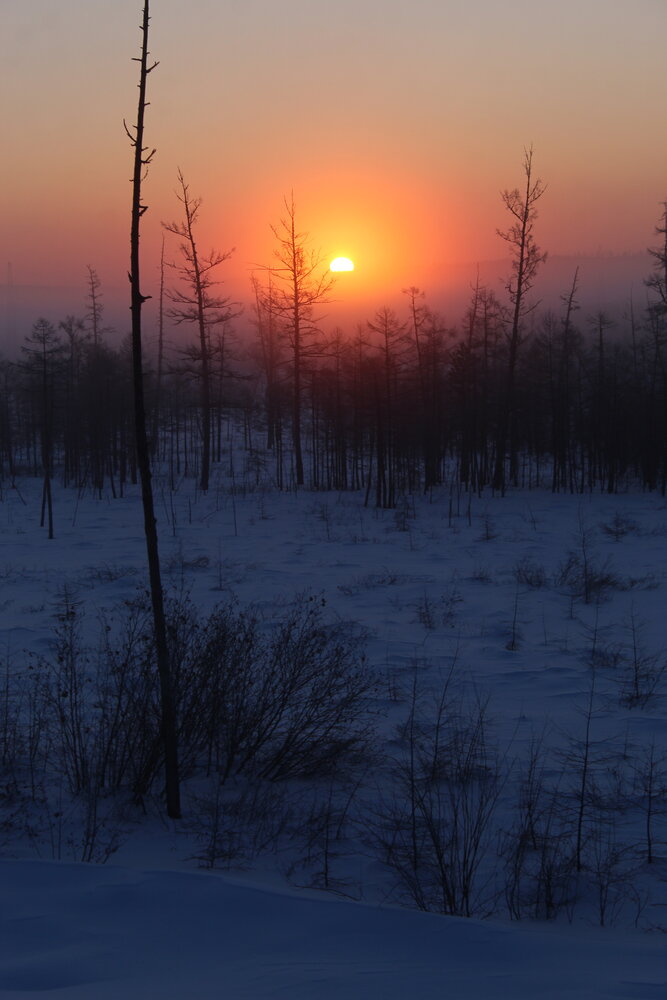 Photograph by Михаил Мархинин