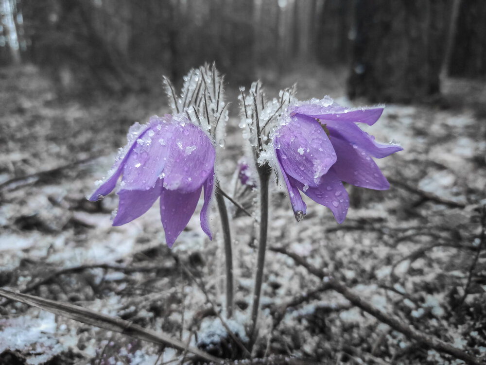Photograph by Анастасия Май