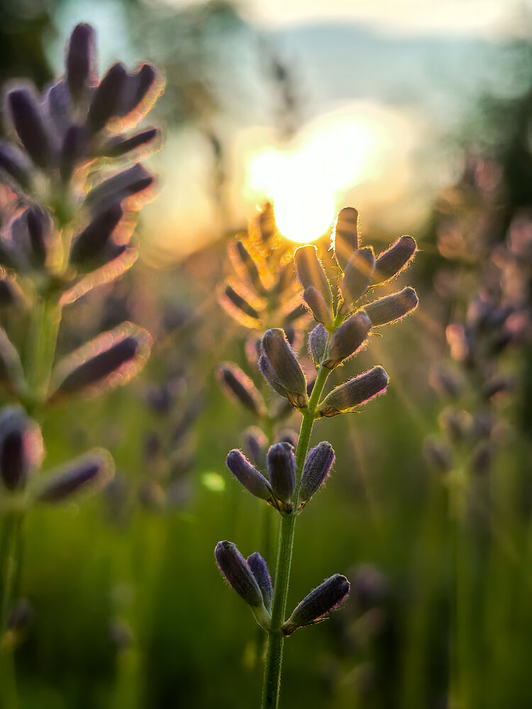 Photograph by Татьяна Бухарова